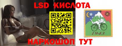 шишки Балашиха