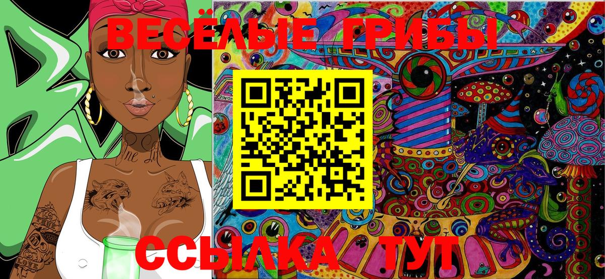 Вязьма  Псилоцибиновые грибы Magic Shrooms  Вход с VPN 