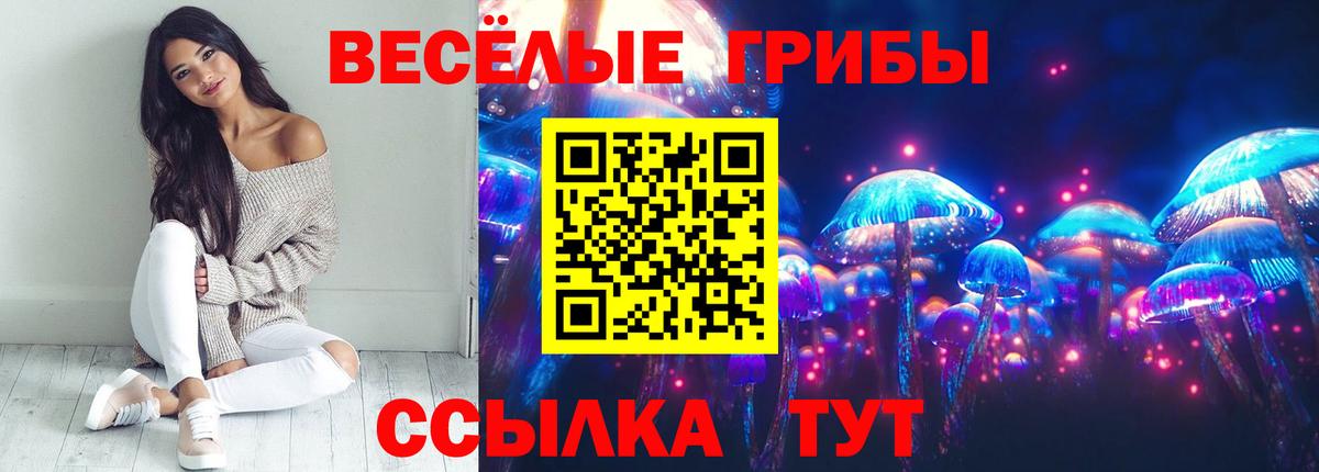 Галлюциногенные грибы Psilocybe Вязьма